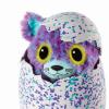 HATCHIMALS SUPRISE DVOJČATA KOČIČKY