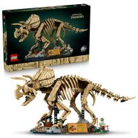Dinosauří fosilie: Triceratops