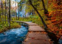 Tajomný les 1000 dielikov