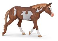 COLLECTA Hřebec amerického plemene Paint Horse