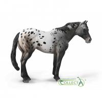 COLLECTA Appaloosa Blue grošiak