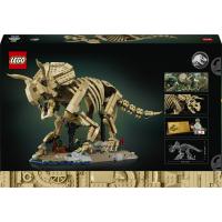 Dinosauří fosilie: Triceratops