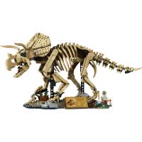 Dinosauří fosilie: Triceratops