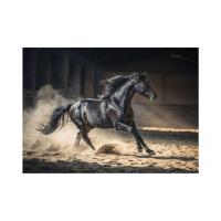 ČIERNY KÔŇ 1000 Puzzle