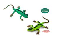 MAGANA Jašterica meníca farbu