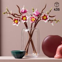 Větvičky magnólie