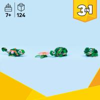 Korytnačka s leknom