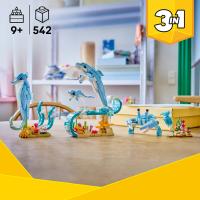 Morské živočíchy: Krásne delfíny