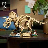 Dinosauří fosilie: Triceratops