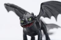 AKO SI VYCVIČIŤ DRAKA ZÁKLADNÍ DRACI