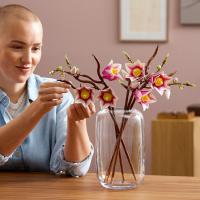 Větvičky magnólie