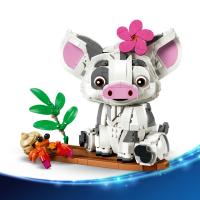 Pua