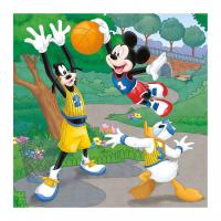 WD Mickey a Minnie športovci 3x55D