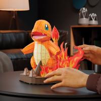 FDP POKÉMON CHARMANDER