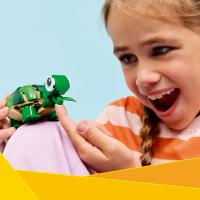 Korytnačka s leknom