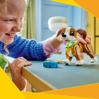 Roztomilé zvieratká: Hravé šteniatko