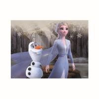 FROZEN II 12 Dřevěné licenční kostky