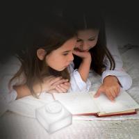 LEGO Iconic Silikonová svítící kostka 1x1