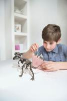 4M Skelet dinosaura - REX