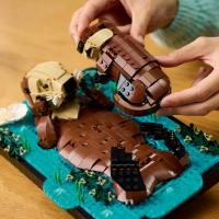 Plavající mořské vydry