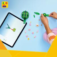 Korytnačka s leknom