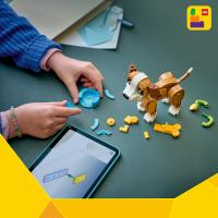 Roztomilé zvieratká: Hravé šteniatko