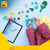 Divoké zvieratá: Farebný kolibrík