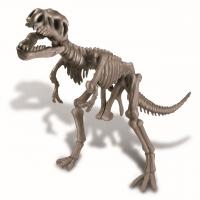 4M Skelet dinosaura - REX