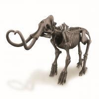 4M Skelet - Mamut