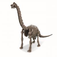 4M Skelet dinosaura - Brachiosaurus