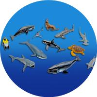 PLEJO Morské zvieratká s projektorom