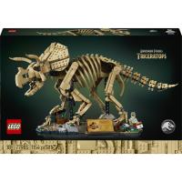Dinosauří fosilie: Triceratops