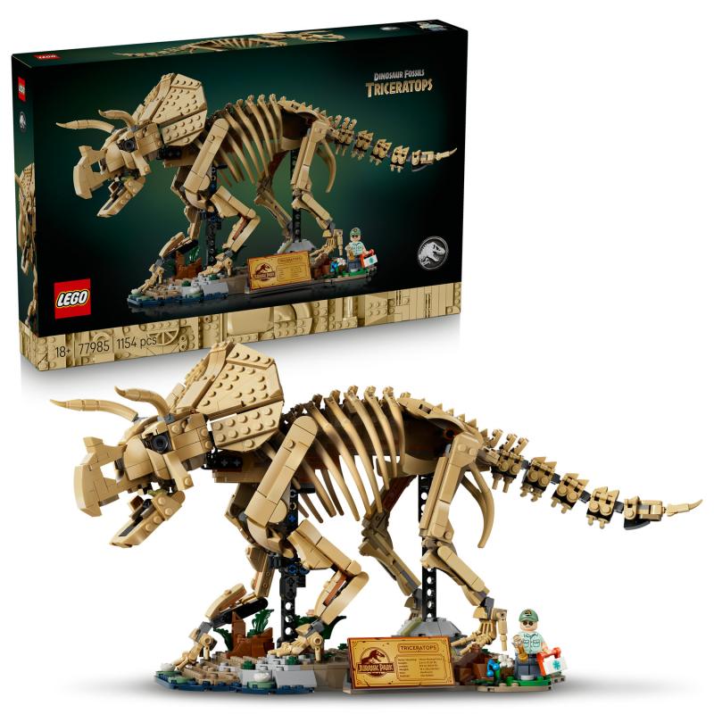 Dinosauří fosilie: Triceratops