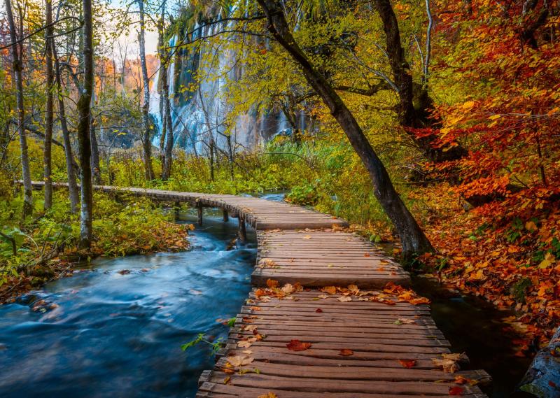 Tajomný les 1000 dielikov