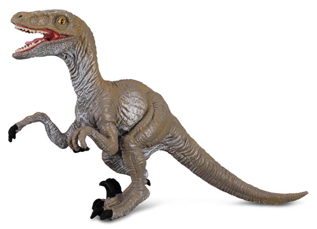 COLLECTA Velociraptor