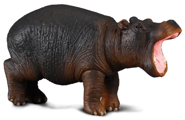 COLLECTA Hroch mláďa