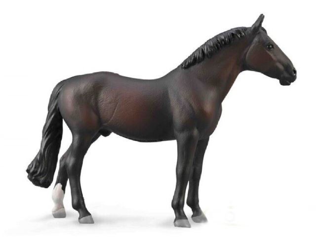COLLECTA Holštajnský žrebec - bay