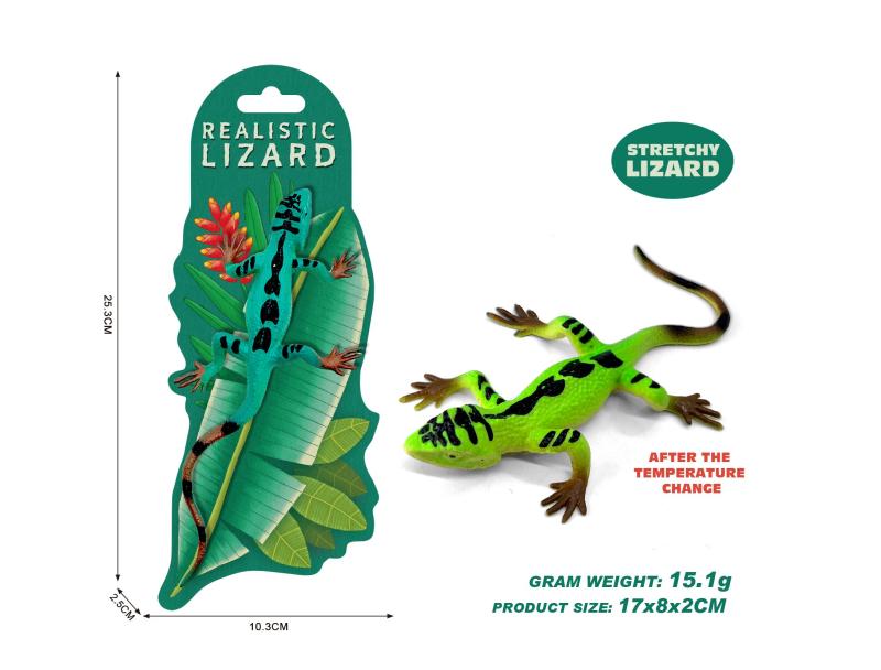 MAGANA Jašterica meníca farbu